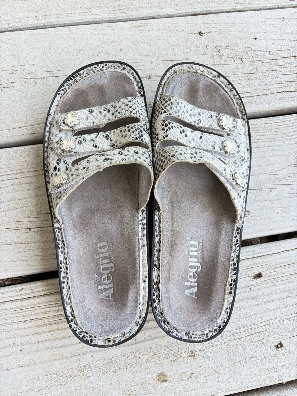 Alegria Snake Print Sandals - Size 39 / US 8